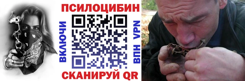 цена   кракен как зайти  Галлюциногенные грибы MAGIC MUSHROOMS  Володарск 